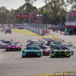 GT World Challenge Australia Queensland: Exclusive Interviews with Davison, Peroni, Ojeda and Leitch