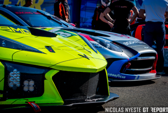 ELMS-15