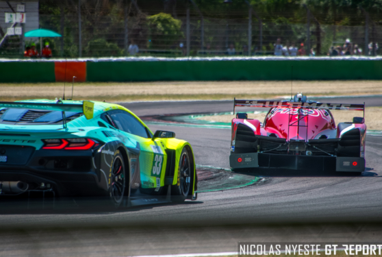 ELMS-25