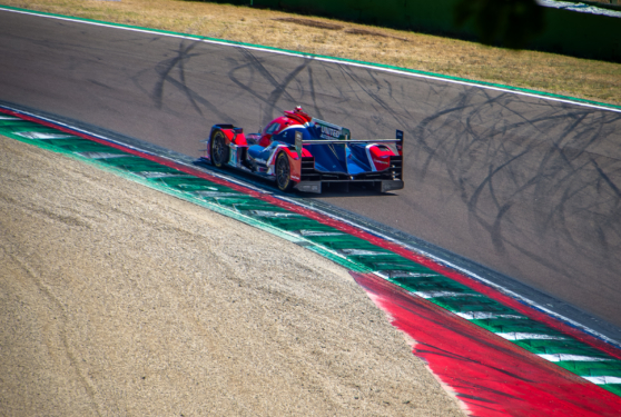 ELMS-31